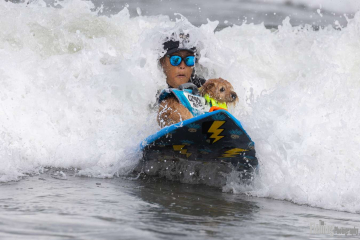 Surfing with her dog