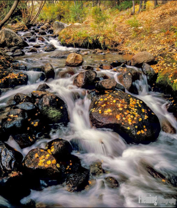 Sierra Stream
