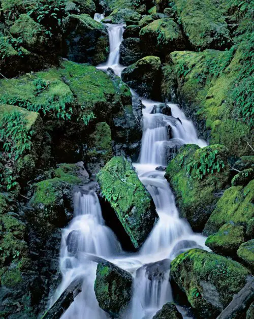 Cataract