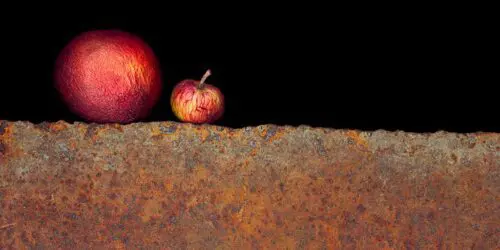 Rust, Objects