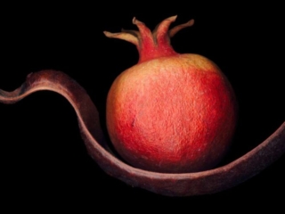 Spoonful, Scanner Art, flowers, black background, beauty, red, purple, floral, botanical, design, graphic, decoration, nature