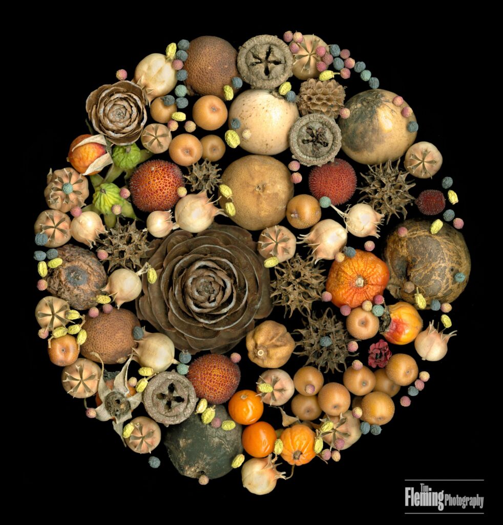 Circles Number 8