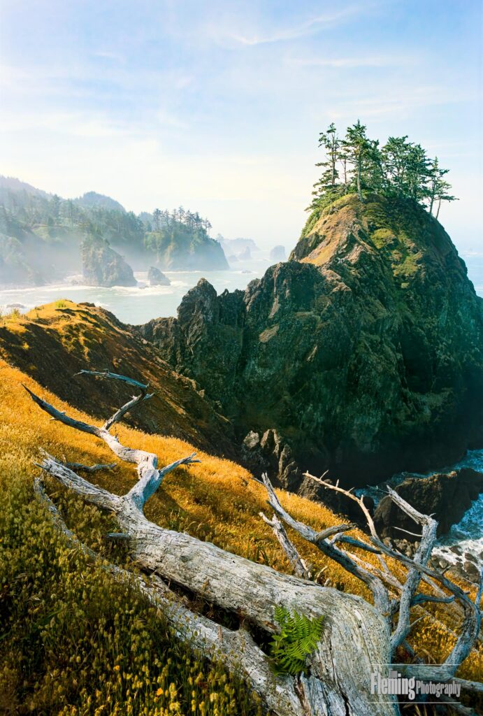 Driftwood on cliff overlooking ocean