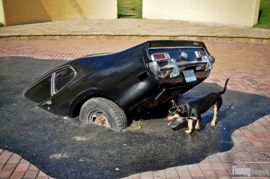 Art installation, dog and buried car, street scene, Hacienda San Pancho