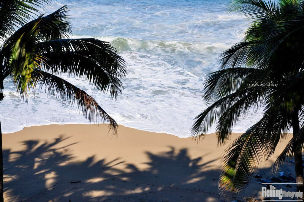 Sandy tropical beach, waves, palm trees, peaceful scene