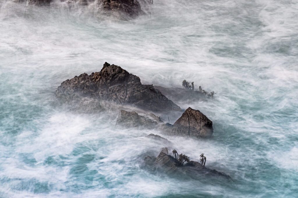Long exposure photography of rugged sea rocks with small palm trees, surrounded by misty, flowing turquoise and white ocean water.