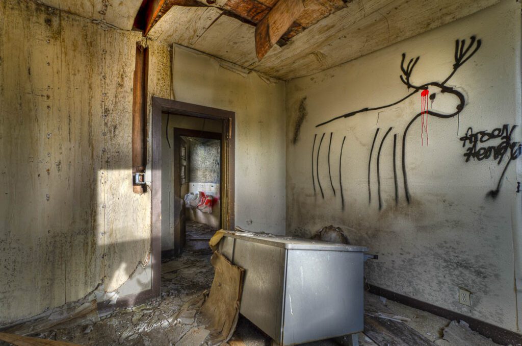 Abandoned room with graffiti of a moose on wall.