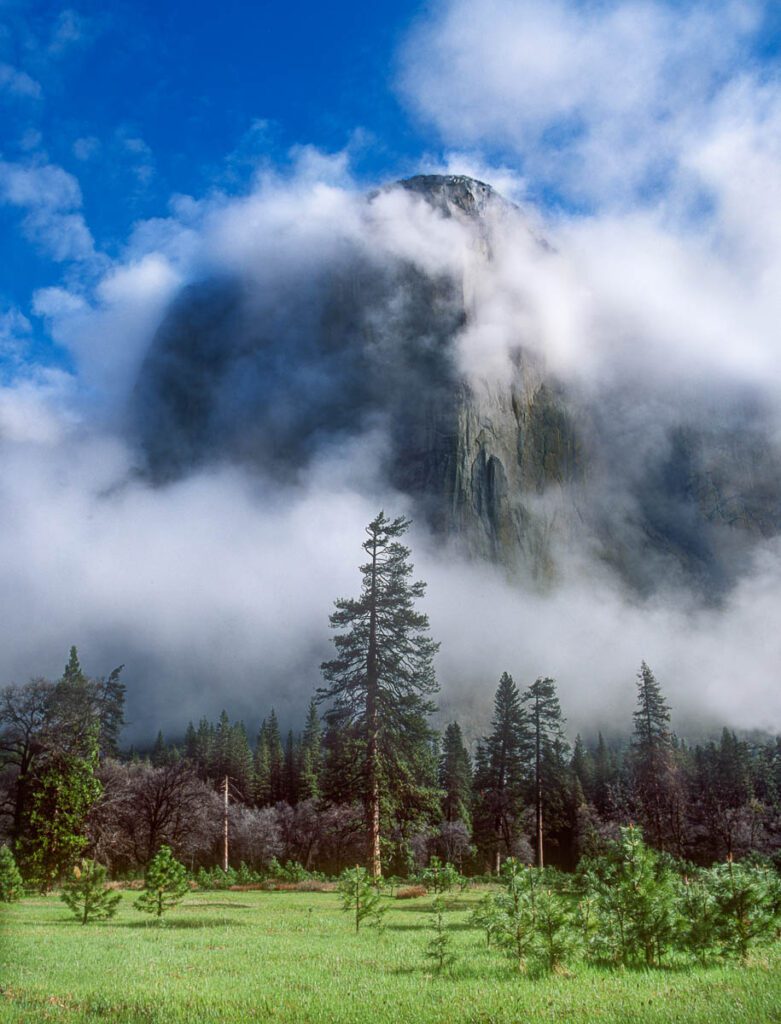 El Capitan emerges from dramatic clouds above a lush green meadow and pine forest in Yosemite National Park.