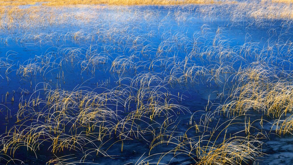 background, beautiful, beauty, blue, color, colorful, grass, green, lake, landscape, morning, natural, nature, orange, panorama, pond, reflection, scene, scenery, scenic, season, sky, spring, summer, sunlight, vibrant, view, water, yellow