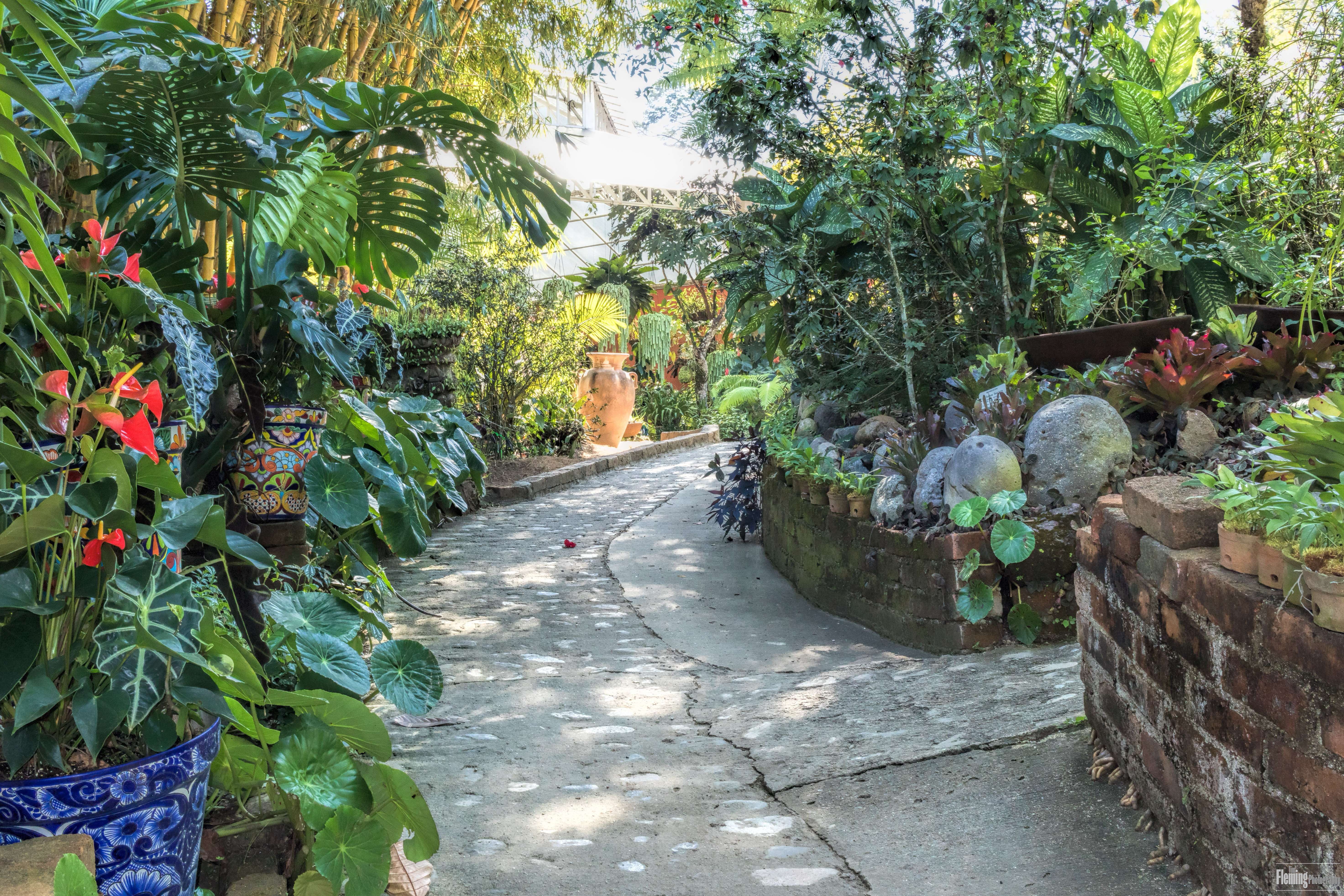 Beautiful garden path with tropical plants and flowers, Vallarta Botanical Gardens