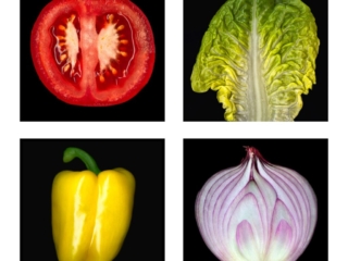 Highly detailed, colorful, vivid scanner scanography, art, made with scanner, image of tomato, pepper, lettuce and onion, scanogram