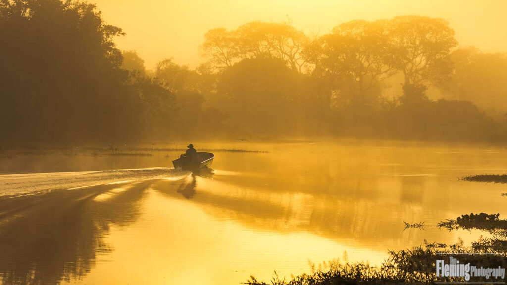 Lone boat in river at dawn in the Pantanal