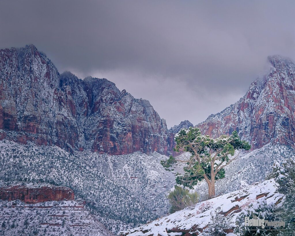 utah, landscape, canyon, nature, mountain, travel, zion national park, beautiful, sky, scenic