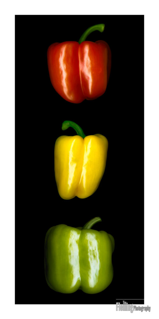 Peppers, Scanner Art, flowers, black background, beauty, red, purple, floral, botanical, design, graphic, decoration, nature