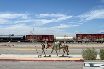 A man walks ahead while a donkey follows him along a quiet street, with a stationary freight train in the background.