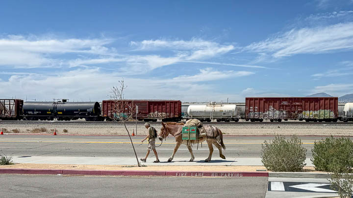 A man walks ahead while a donkey follows him along a quiet street, with a stationary freight train in the background.
