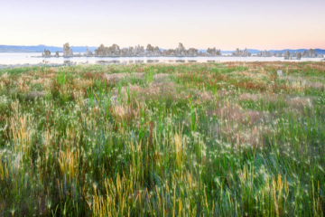 A portfolio of high-resolution landscape photographs captured on large format film and digitally printed. The images showcase expansive natural scenes, including mountains, forests, deserts, and coastlines, with exceptional detail, tonal range, and depth.