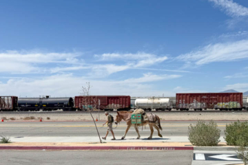 Man and donkey walking in front of train along city street with a cloudy blue sky above.