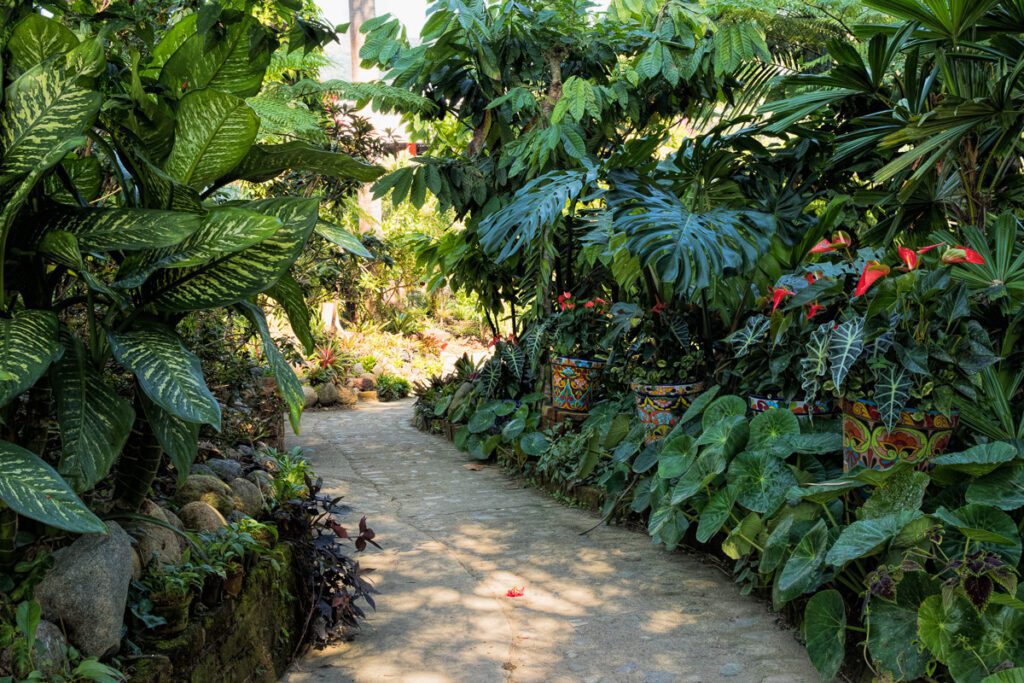 Lush tropical garden pathway with vibrant green foliage, exotic plants, and decorative potted flowers under dappled sunlight.