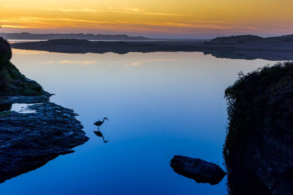A tranquil sunset scene over Abbot's Lagoon, with a solitary bird silhouetted in the calm, blue-hued water reflecting the colorful sky.