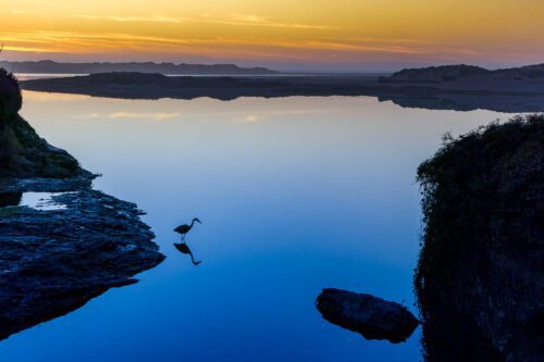 Abbot’s Lagoon