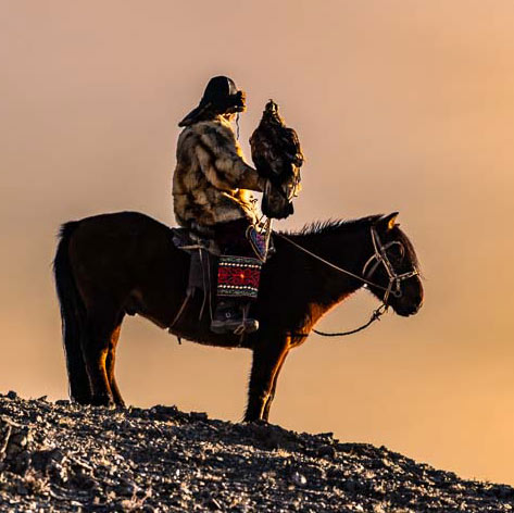 Kazakh eagle hunter on horseback holding a golden eagle, silhouetted against the warm evening sky in Mongolia