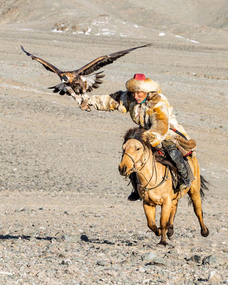 Kazakh eagle hunter riding a horse across rocky terrain with a golden eagle spreading its wings on his gloved hand
